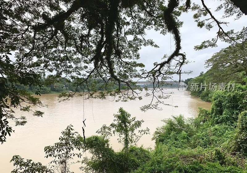 马来西亚半岛Pahang River